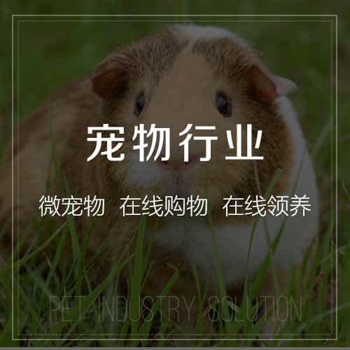 包头宠物