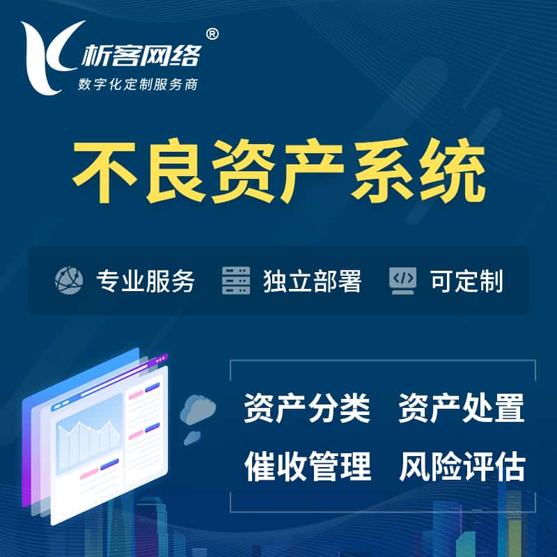 包头不良资产管理系统